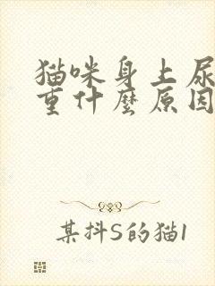 猫咪身上尿骚味重什么原因