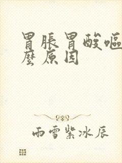 胃胀胃酸呕吐什么原因