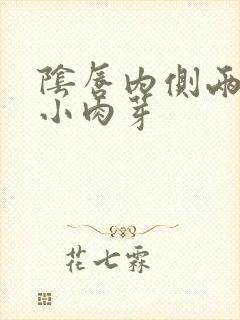 阴唇内侧两边有小肉芽