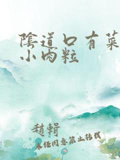 阴道口有菜花状小肉粒