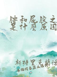 腰和屁股之间疼是什么原因