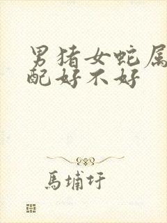 男猪女蛇属相婚配好不好