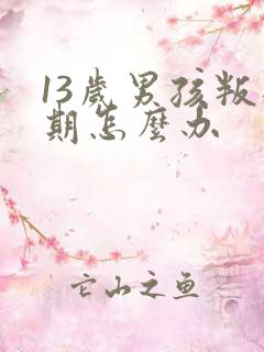 13岁男孩叛逆期怎么办