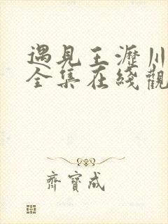 遇见王沥川免费全集在线观看剧情