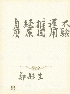 月经推迟不来什么原因用验孕棒显示没怀孕