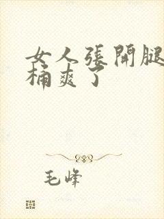 女人张开腿男人桶爽了