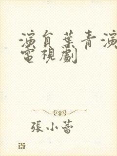 演员叶青演过的电视剧