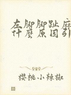 左脚脚趾麻木是什么原因引起的