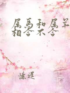 属马和属羊的属相合不合