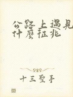 公路上遇见蛇是什么征兆