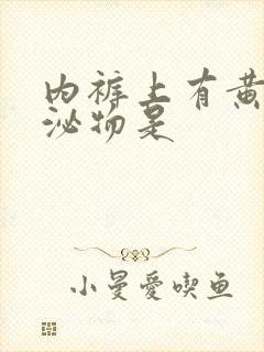 内裤上有黄色分泌物是