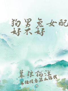 狗男兔女配婚姻好不好