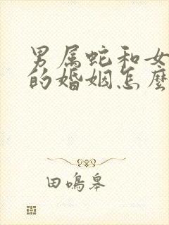 男属蛇和女属马的婚姻怎么样