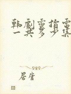 韩剧灵指电视剧一共多少集