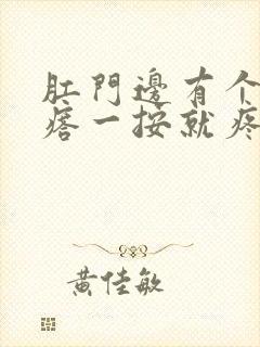 肛门边有个硬疙瘩一按就疼怎么治