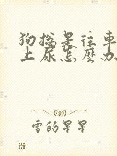 狗总是往车轱辘上尿怎么办?