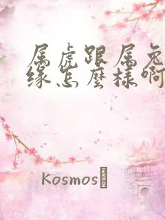 属虎跟属兔的姻缘怎么样啊