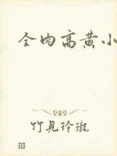 全肉高黄小说