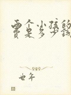 两个小孩的抚养费是多少钱一个月