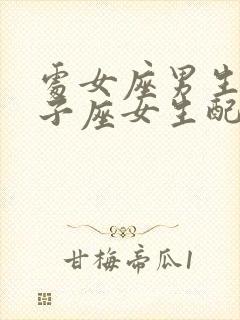 处女座男生和双子座女生配对指数