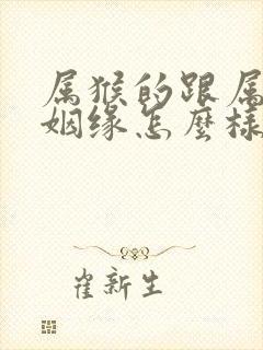 属猴的跟属鸡的姻缘怎么样