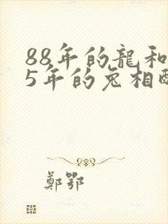 88年的龙和75年的兔相配吗