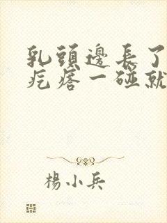 乳头边长了个小疙瘩一碰就疼怎么回事