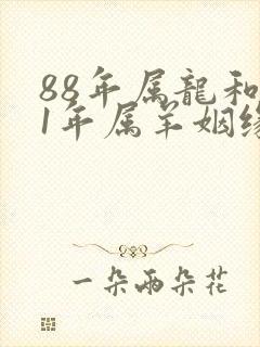 88年属龙和91年属羊姻缘怎么样