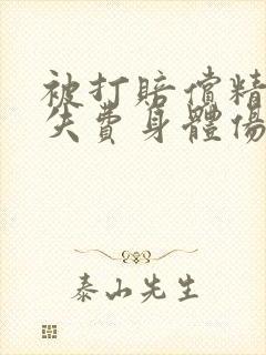 被打赔偿精神损失费身体伤害费多少