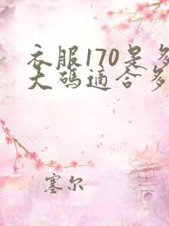 衣服170是多大码适合多少斤穿