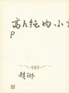 高h纯肉小说np