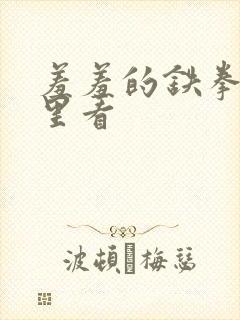 羞羞的铁拳在那里看