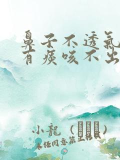 鼻子不透气嗓子有痰咳不出咽不下怎么办