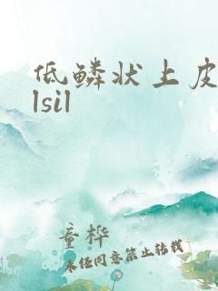 低鳞状上皮病变lsil