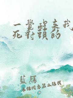 一觉醒来我成了死对头的