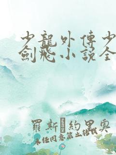 少龙外传少年龙剑飞小说全文