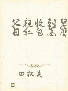 父亲收到儿子生日红包怎么回复