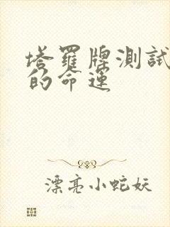 塔罗牌测试自己的命运