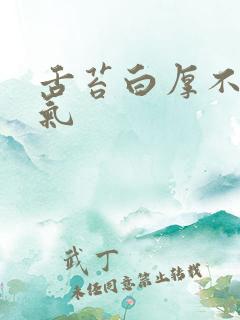 舌苔白厚不是湿气