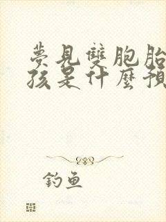 梦见双胞胎小男孩是什么预兆