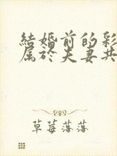 结婚前的彩礼钱属于夫妻共同财产吗