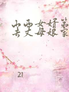 山西女婿第一次去丈母娘家带什么礼物