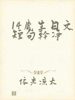 14岁生日文案短句干净