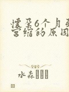 怀孕6个月引起宫缩的原因