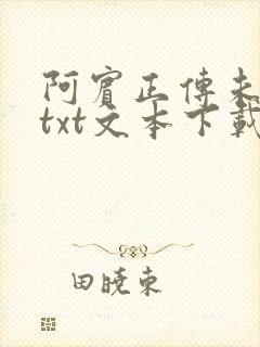 阿宾正传未删减txt文本下载