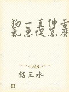 狗一直伸舌头喘气急促怎么办