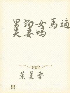 男狗女马适合做夫妻吗