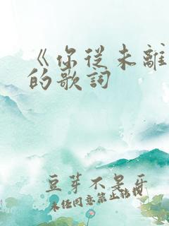 《你从未离去》的歌词