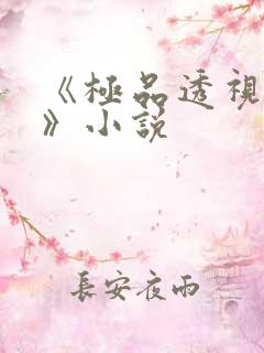 《极品透视医仙》小说