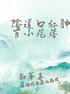 阴道口红肿瘙痒有小疙瘩